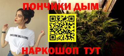 гидропоника Шелехов