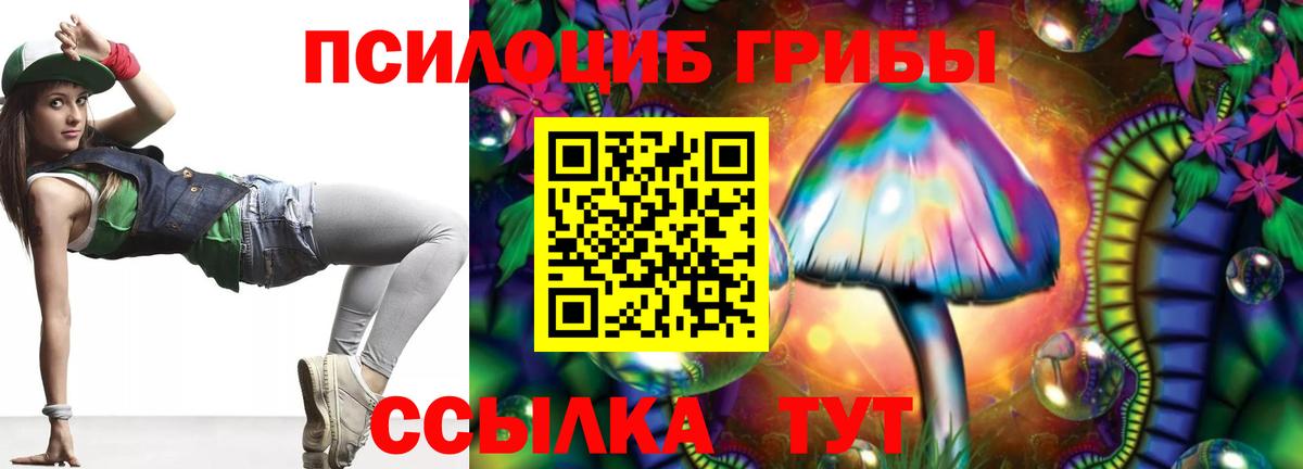 Галлюциногенные грибы Psilocybine cubensis Гулькевичи